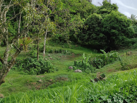 vente terrain Sainte-luce