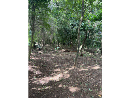 vente terrain Saint-joseph