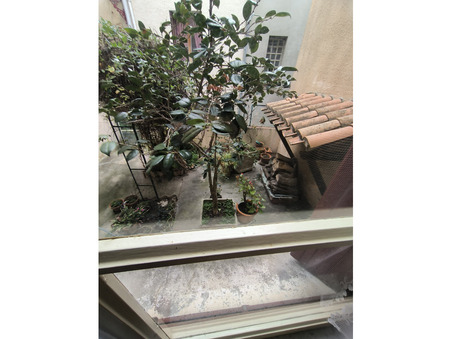 vente maison Alzonne