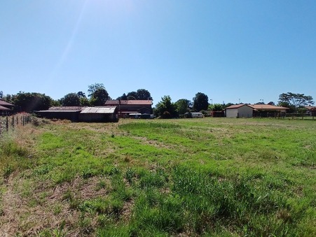 vente terrain Laluque