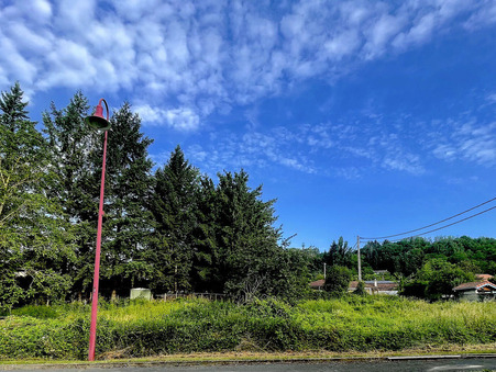 vente terrain Châtillon-la-palud