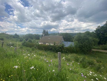 properties