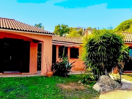 vente maison porto vecchio