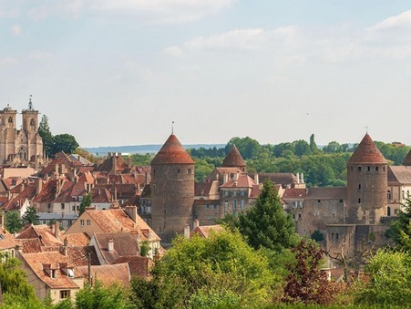 vente professionnel Semur-en-Auxois 75 000€