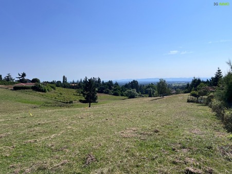 vente terrain Roanne