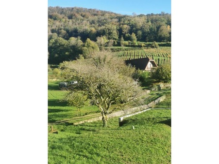 vente maison Mesnay