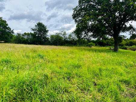 vente terrain Charbuy