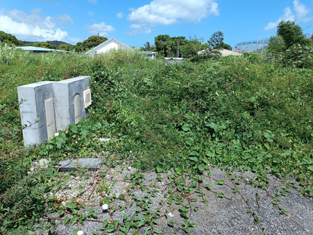 vente terrain Sainte-suzanne