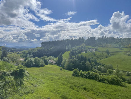 vente maison Amplepuis