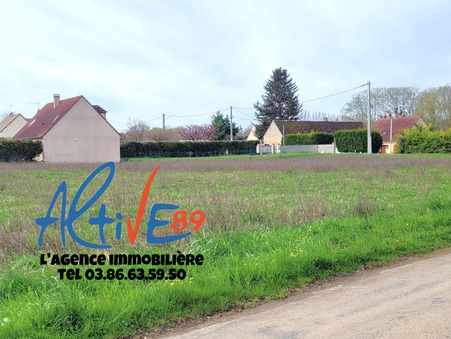 vente terrain Senan