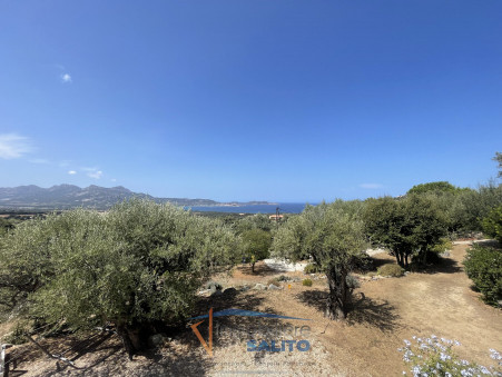 vente maison Lumio