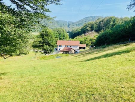 vente maison Mélisey