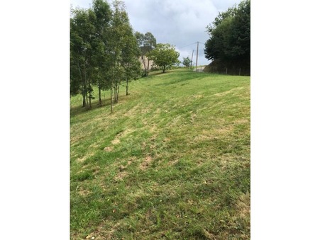 vente terrain Lasseube