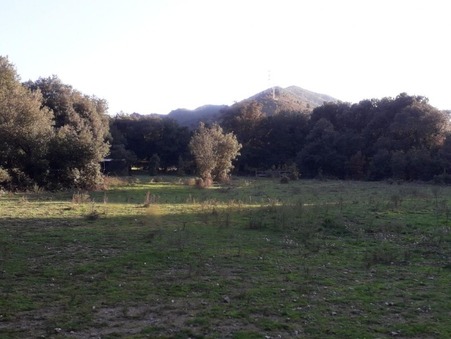 vente terrain Corte