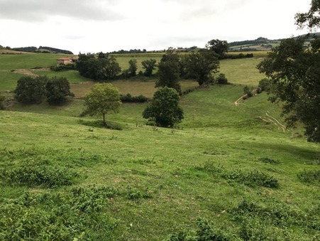 vente terrain Montrottier