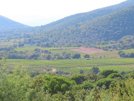 vente terrain Collobrieres