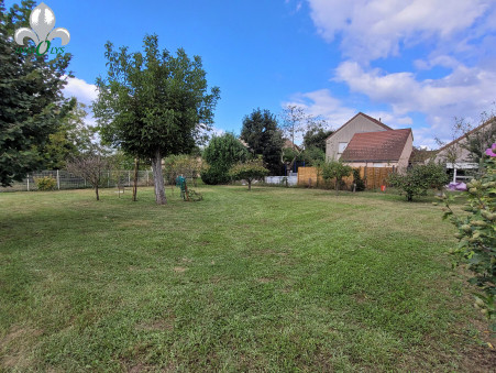 vente terrain Seurre
