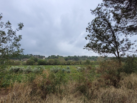 vente terrain Rieux-minervois