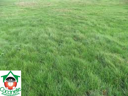 vente terrain Le teich