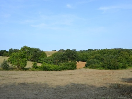 vente terrain Caraman