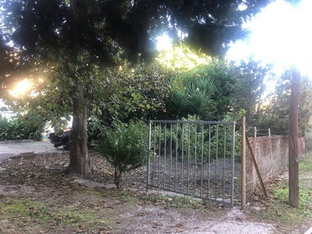 vente maison avignon