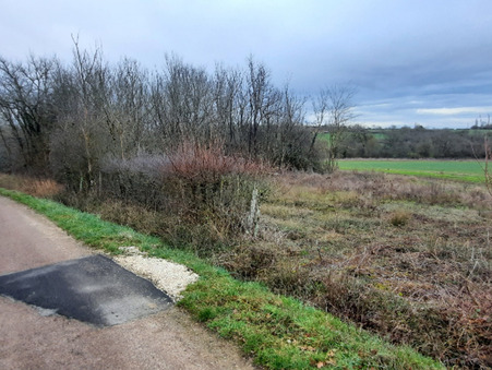 vente terrain Saint sauveur en puisaye