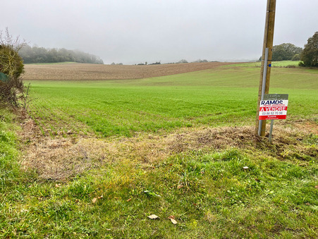 vente terrain Parly