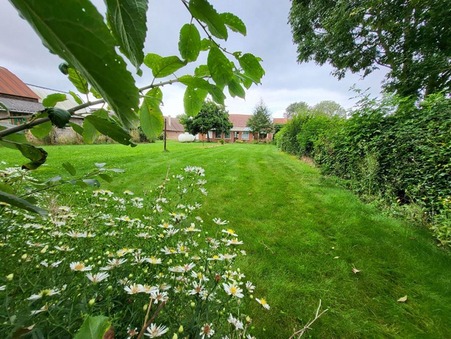vente maison Bailleul-aux-cornailles