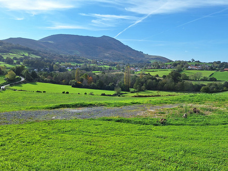 vente terrain Helette