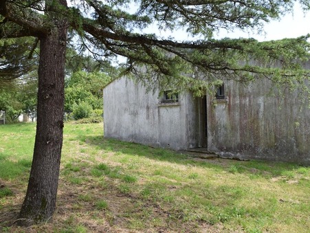 vente maison savenay