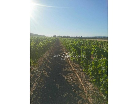 vente terrain Lézignan-corbières