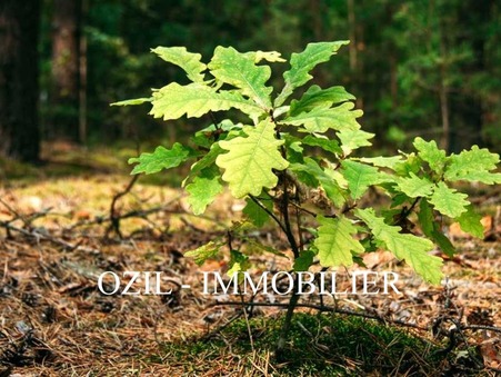 vente terrain Euzet