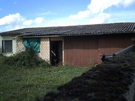 vente terrain Saint-martin-la-pallu