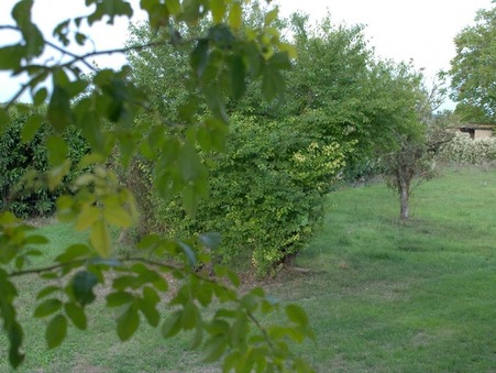 vente terrain Saint-martin-la-pallu