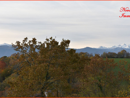 vente terrain Gan