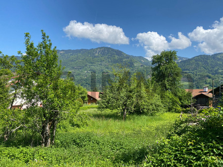 vente terrain Morillon