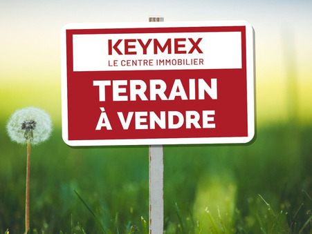 vente terrain Mesquer