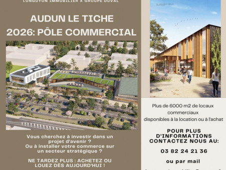 location neuf Audun le tiche