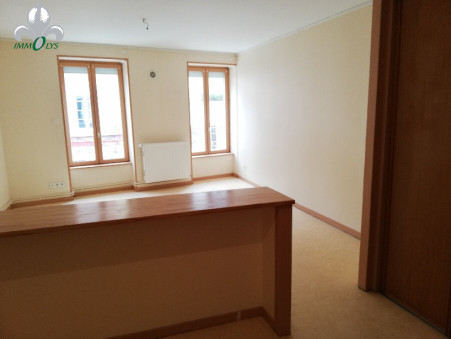 vente immeuble Seurre