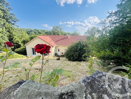 vente maison panazol