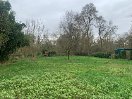 vente terrain Noizay