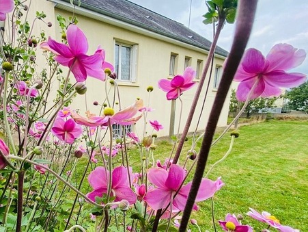 vente maison ernee
