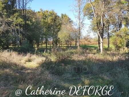 vente terrain Saint savin