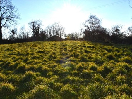 vente terrain Fauch