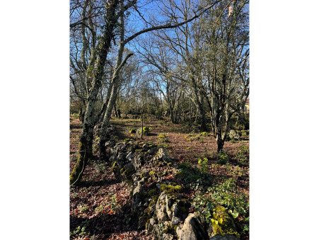 vente terrain Saint-hippolyte-du-fort