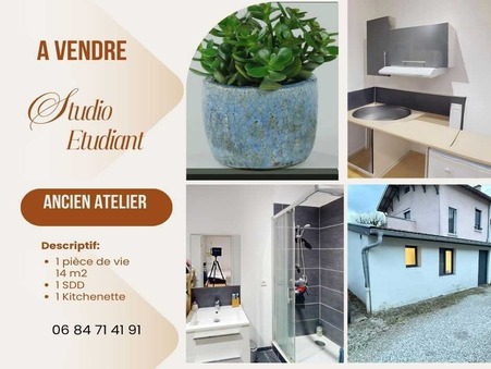 vente appartement villeurbanne