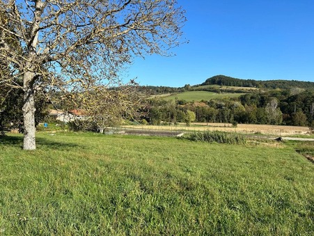 vente terrain Montchenu