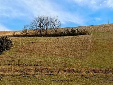 vente terrain Graulhet