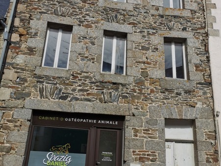 vente immeuble La roche jaudy