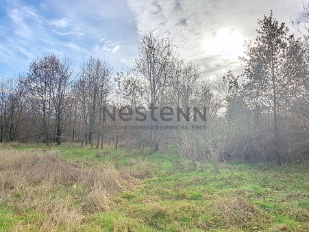 vente terrain Carbonne